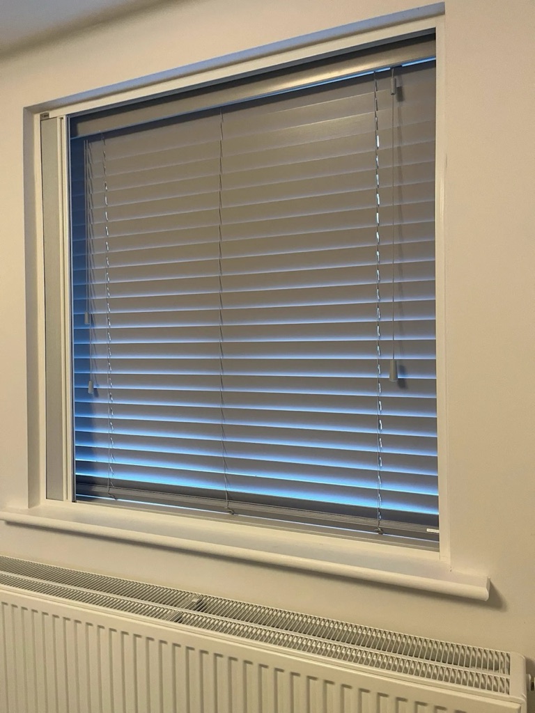 Same window with the Blind Screen raised, showing the venetian blinds behind and daylight coming through